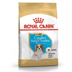 Royal Canin Cavalier King Charles Puppy Yavru Köpek Maması 1,5 Kg